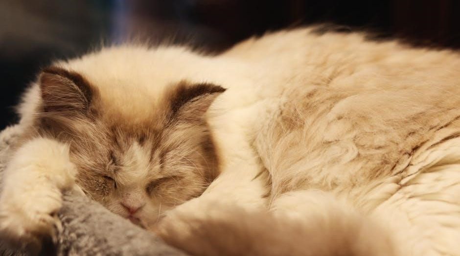 sleep image ring instructions