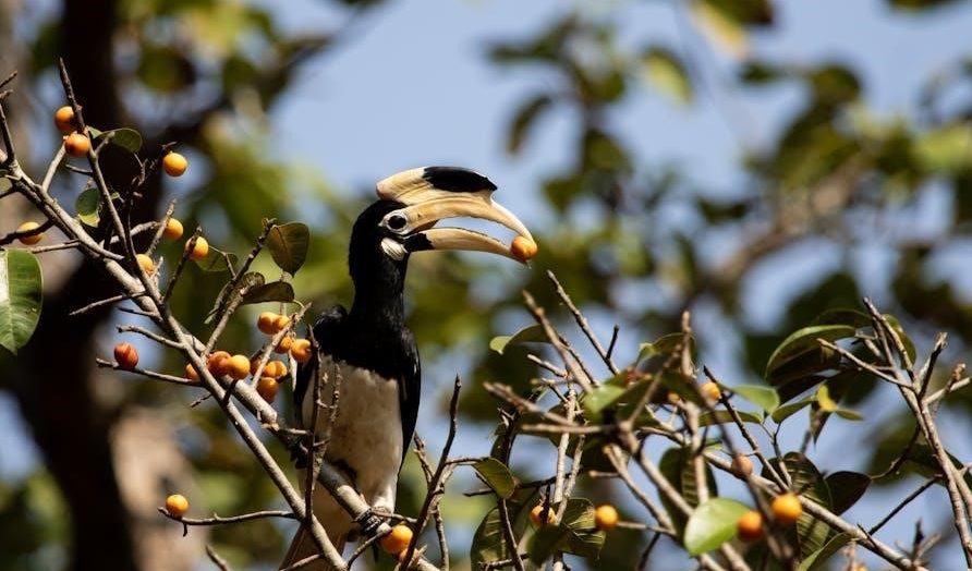 life of pi filetype:pdf